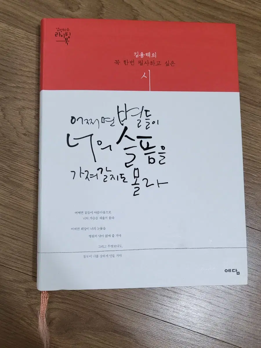 김용택 시집 (어쩌면 별들이 너의 슬픔을 가져갈지도 몰라)