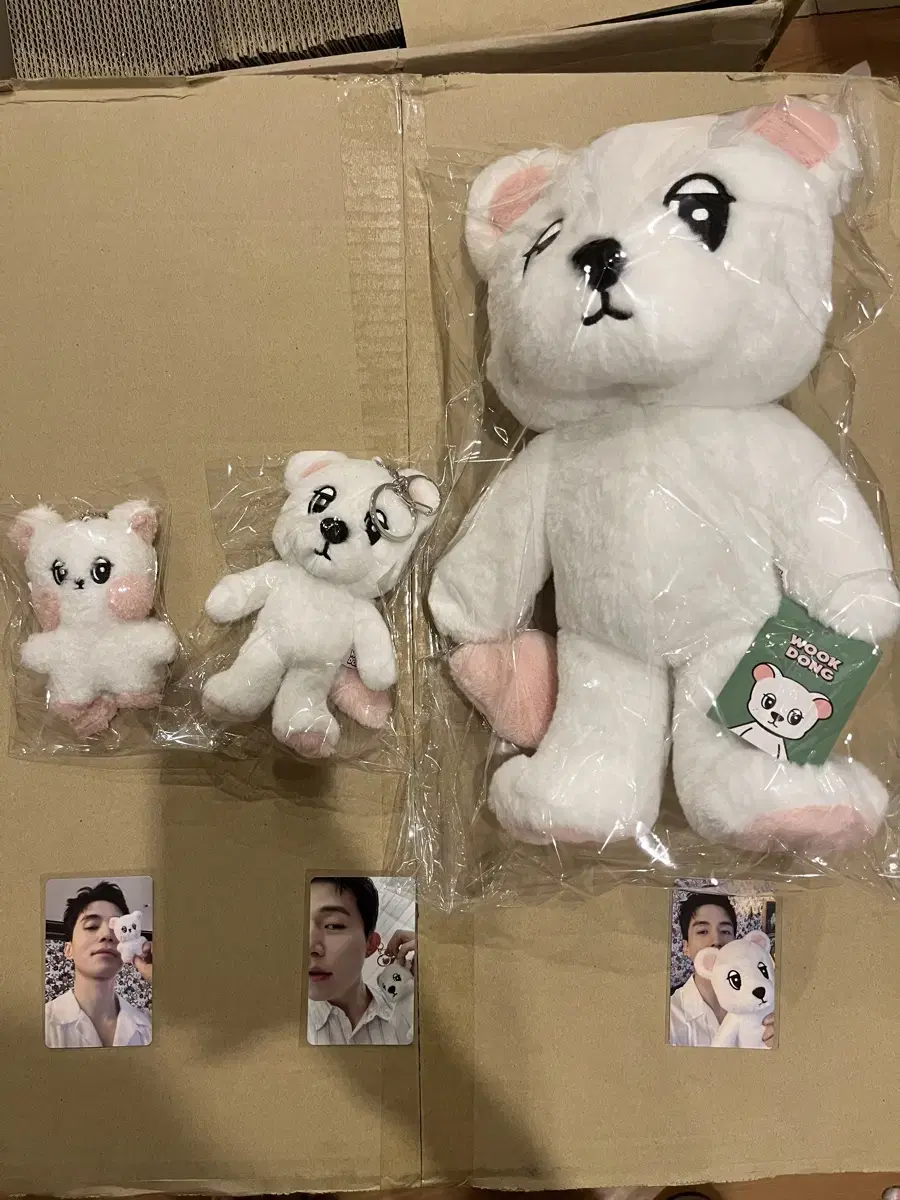 Wookdong Plush Baby Wookdong doll Wookdong Plush keyring Lee Dongwook Doll