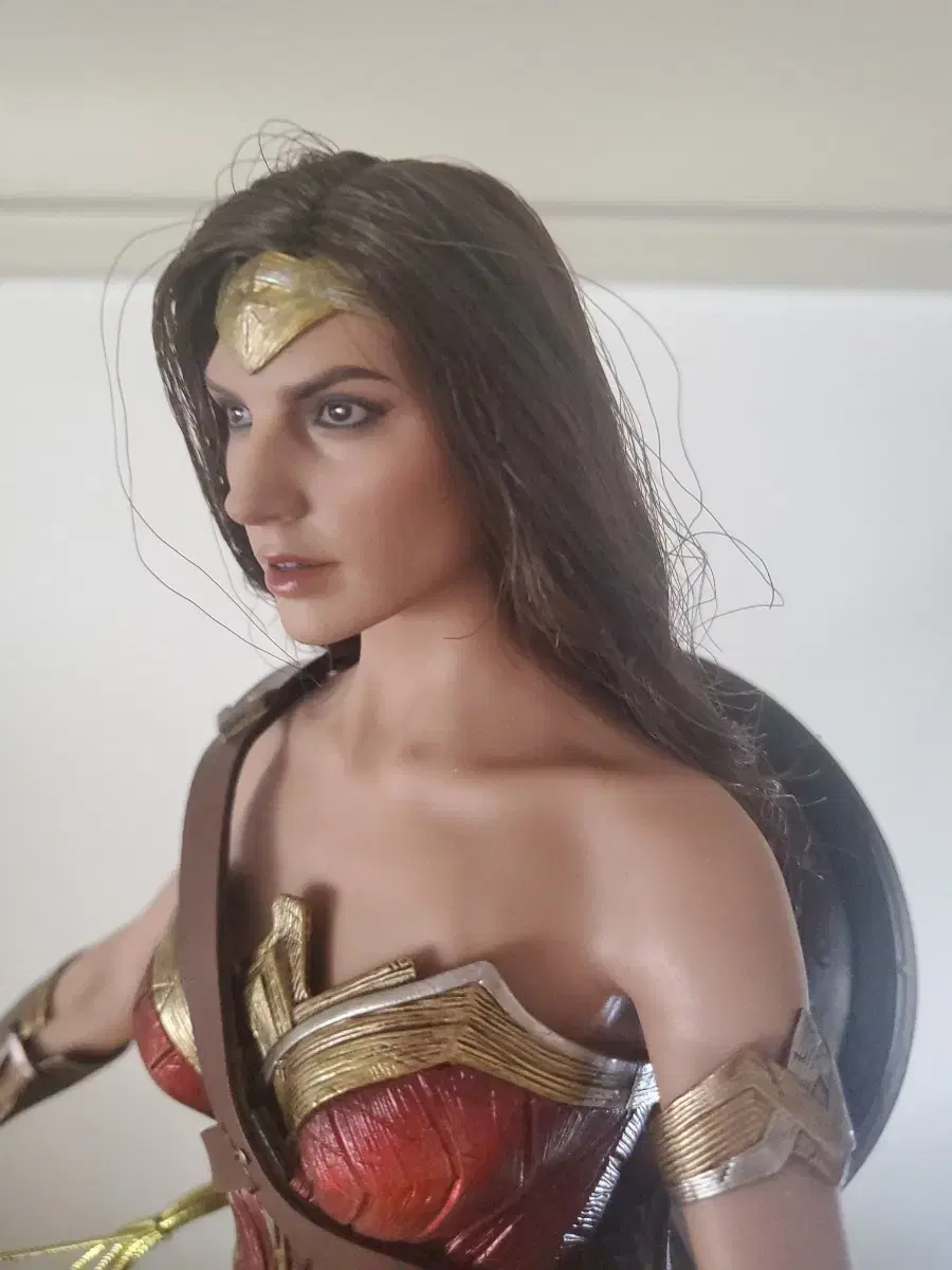 Justice LeagueWonder Woman Figures