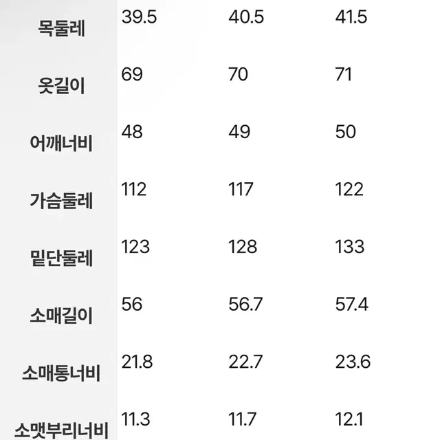 [새상품 M사이즈] 빈폴 레이디스 세미 오버핏 셔츠 라이트 그린