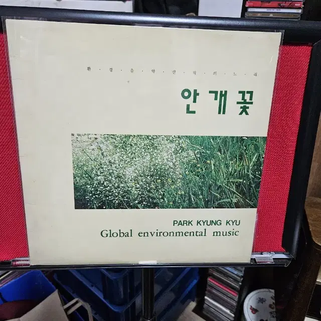 나윤선 초반 데뷔 lp