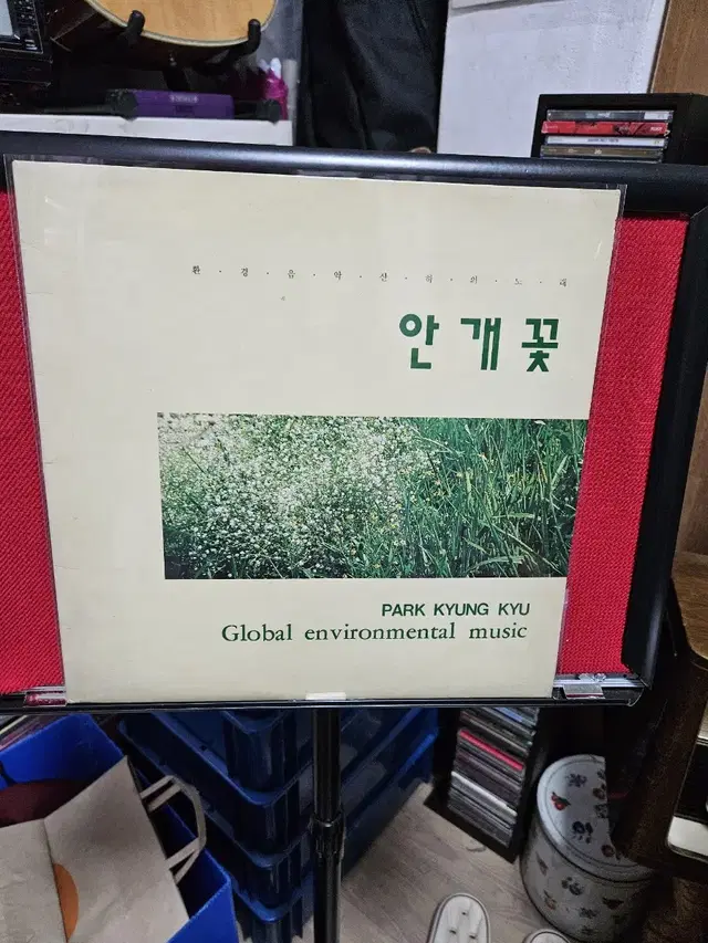 나윤선 초반 데뷔 lp