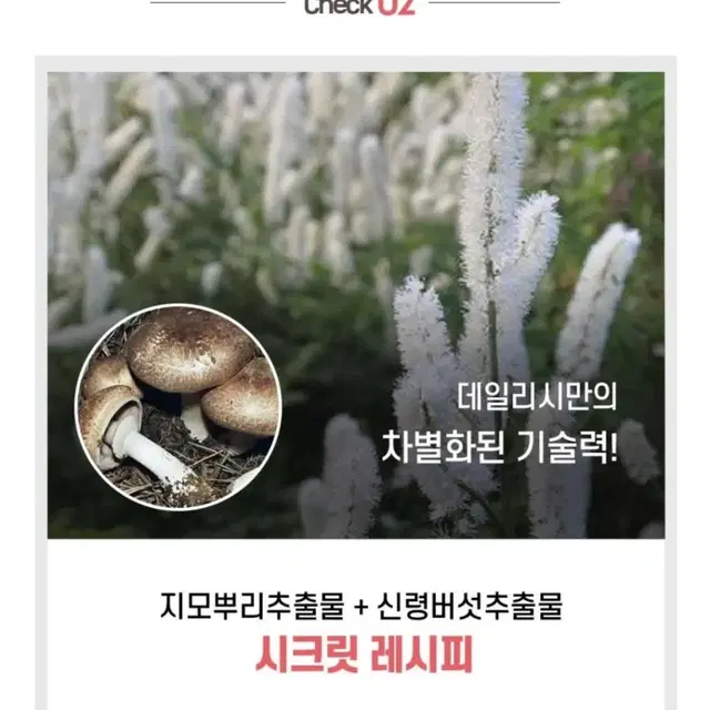 가슴볼륨크림