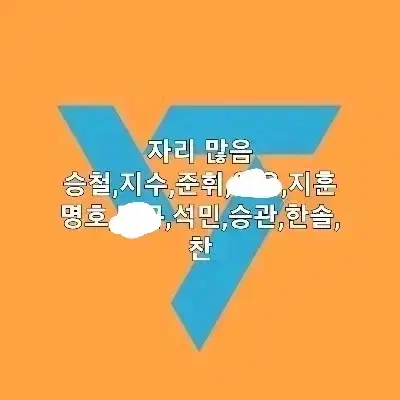 확정 세븐틴 분철 미니 12집