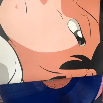 ADOY レコード CATNIP ADOY CATNIP レコード 아도이 – Catnip – Vinyl (Blue, Gatefold, 12