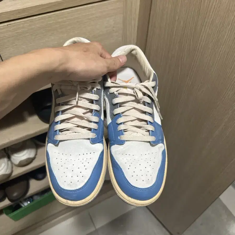 Jordan 1 Low SE Tokyo 96