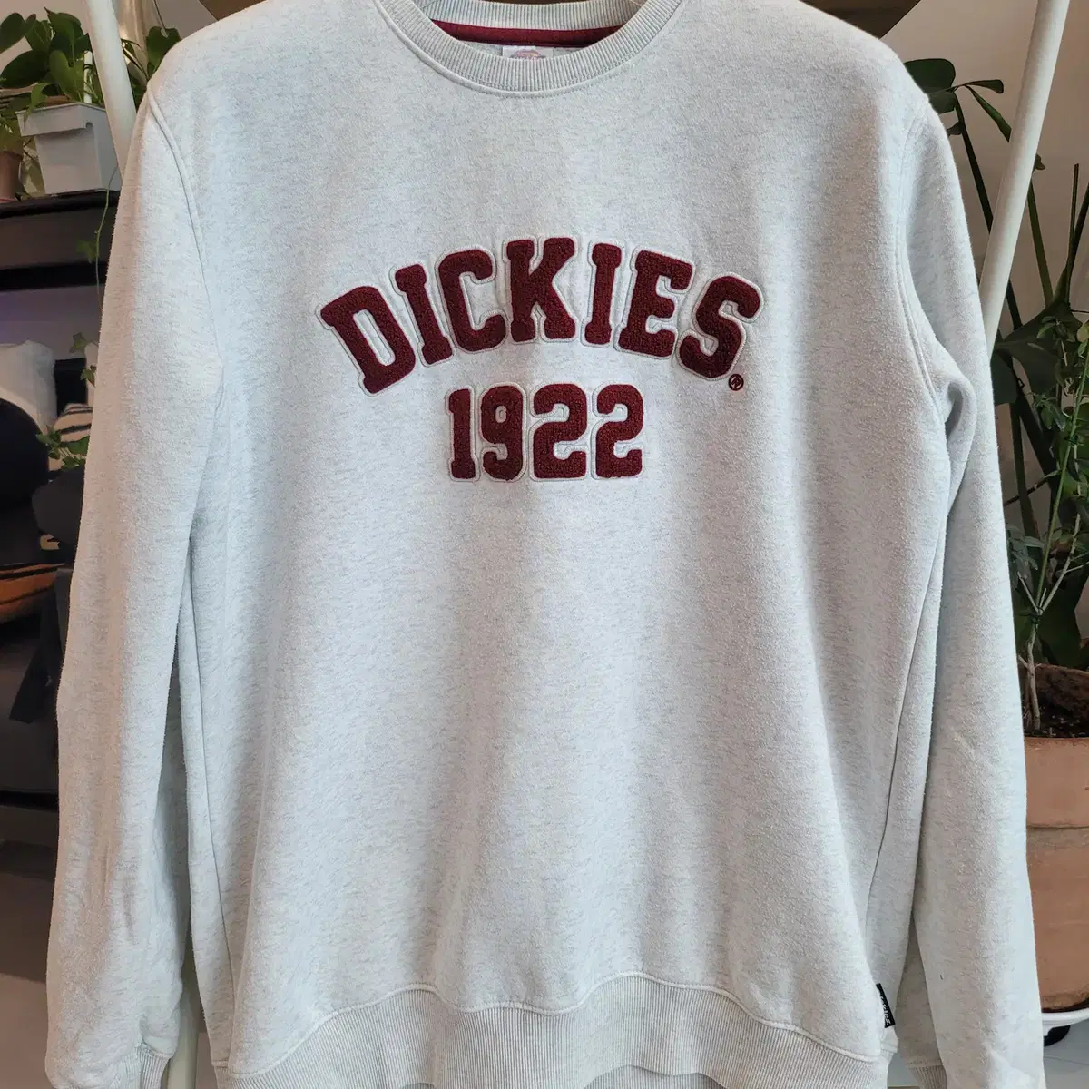 DICKIES 디키즈 와펜로고 맨투맨