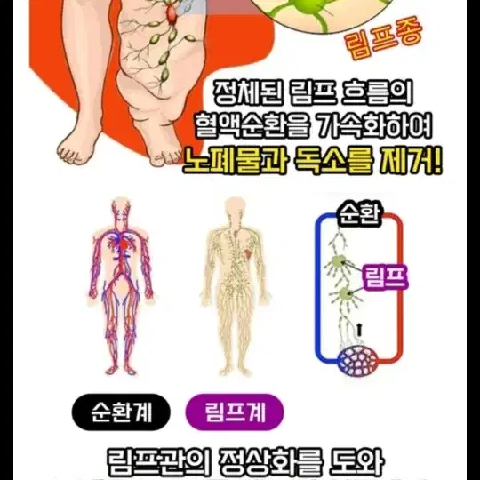 지방연소연소 독소배출 다이어트 티타늄반지 골드 큐빅 새상품