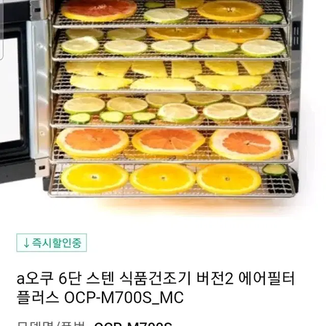 오쿠 올스턴 식품건조기 새거 서울 경기 퀵배송