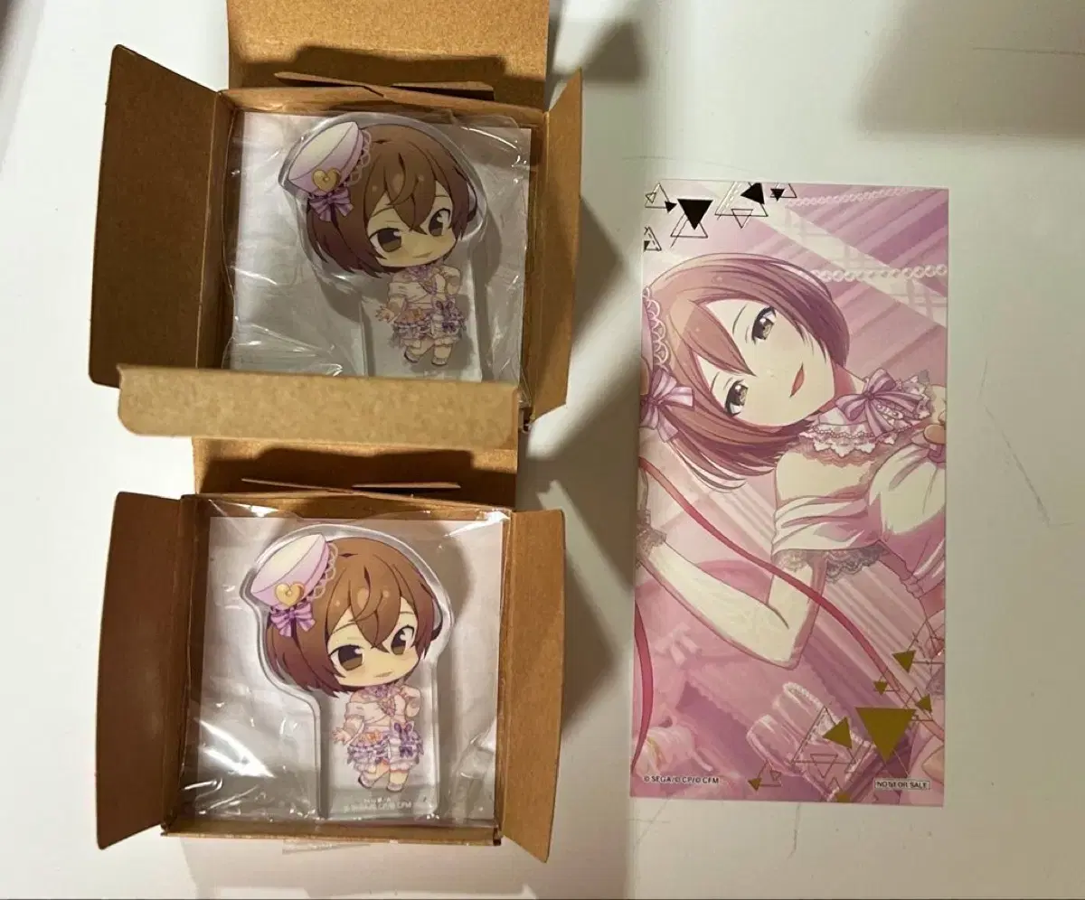 Pseudo Bokaro Meiko 2.5 Anniversary Koroto Anime pre-order benefit kard