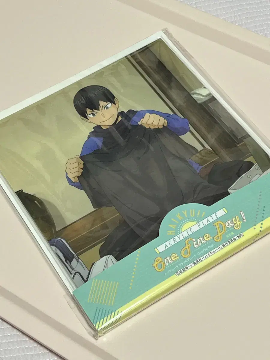 Kageyamatobio acrylic plates for sale