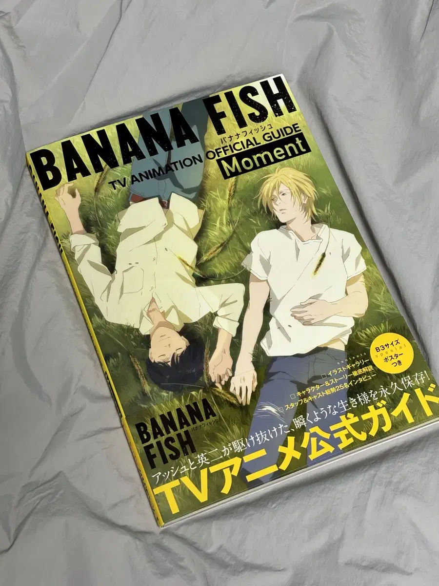 Bananafish Baffy Animation Guidebook