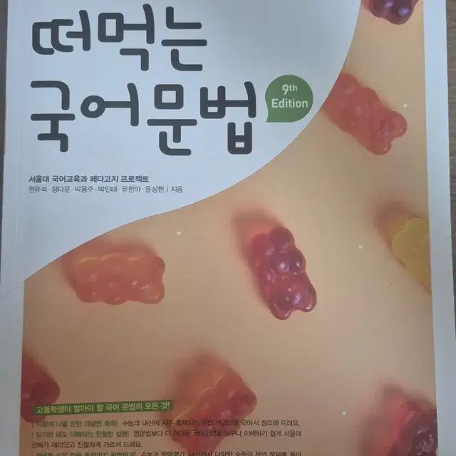 떠먹는국어문법 문제집