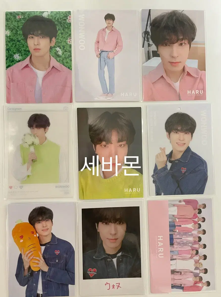 가격내림)세븐틴 원우 하루(HARU) 일본트레카 일괄양도