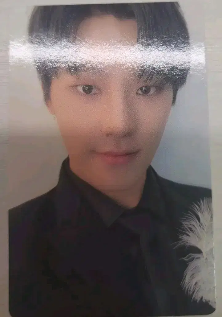 Seventeen dino photocard unode