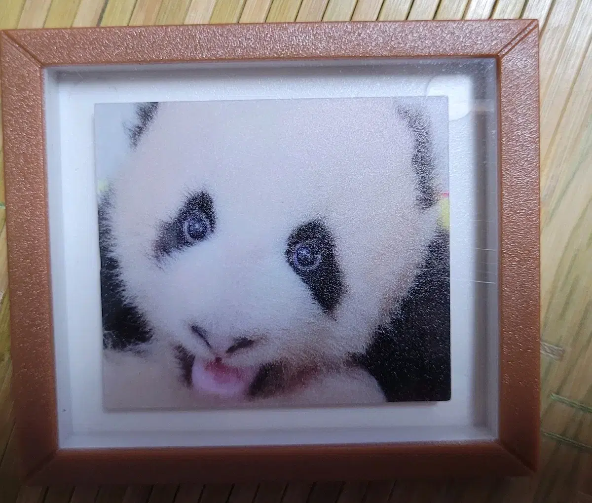 Fubao Little Brother Framed Magnet