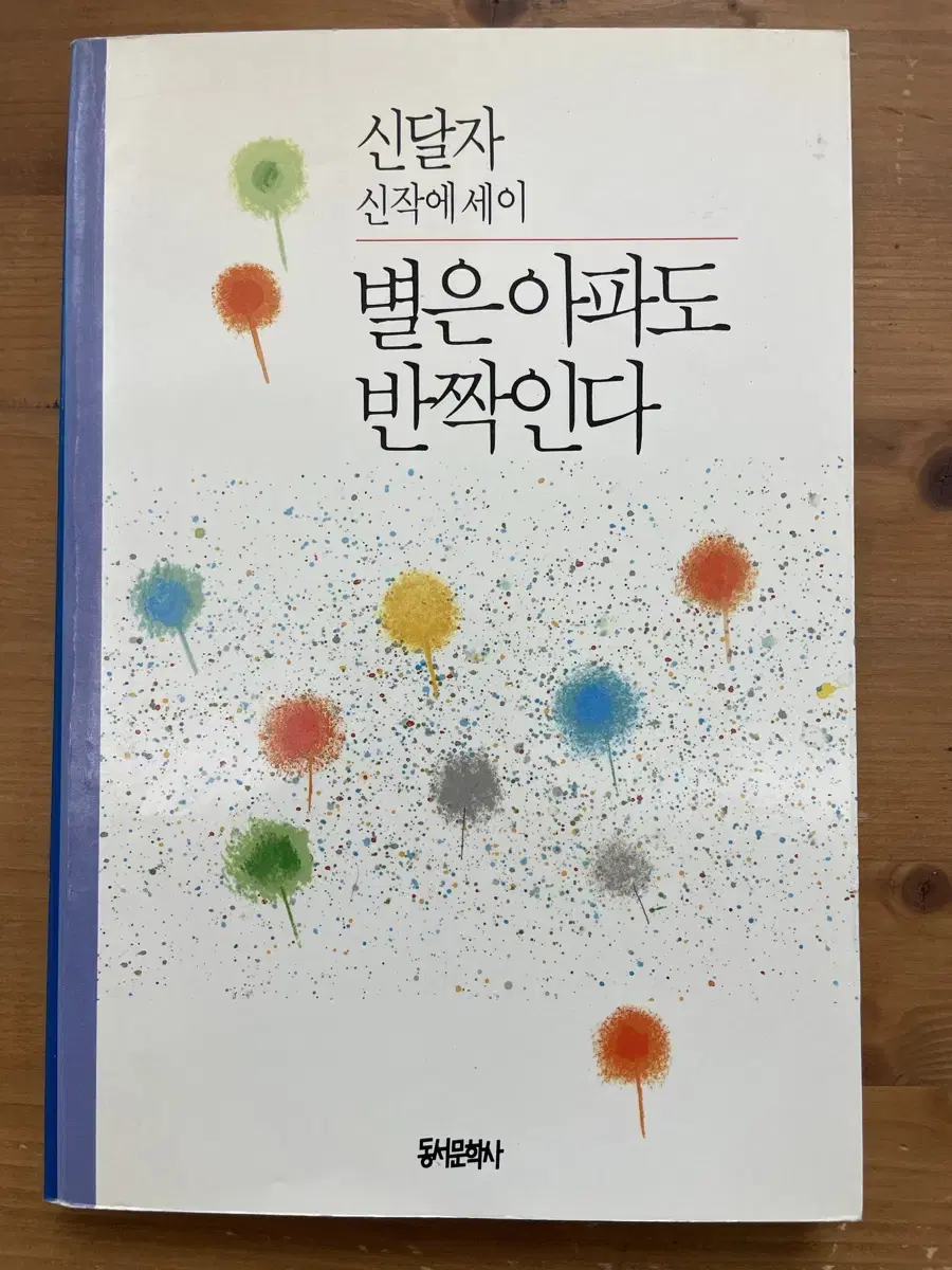 별은 아파도 반짝인다 : 신달자 신작에세이(초판본)