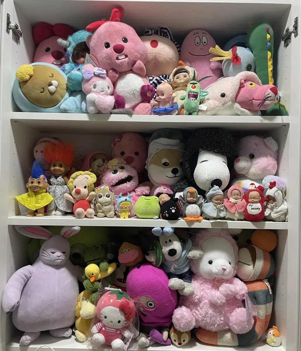 Organize your doll collection