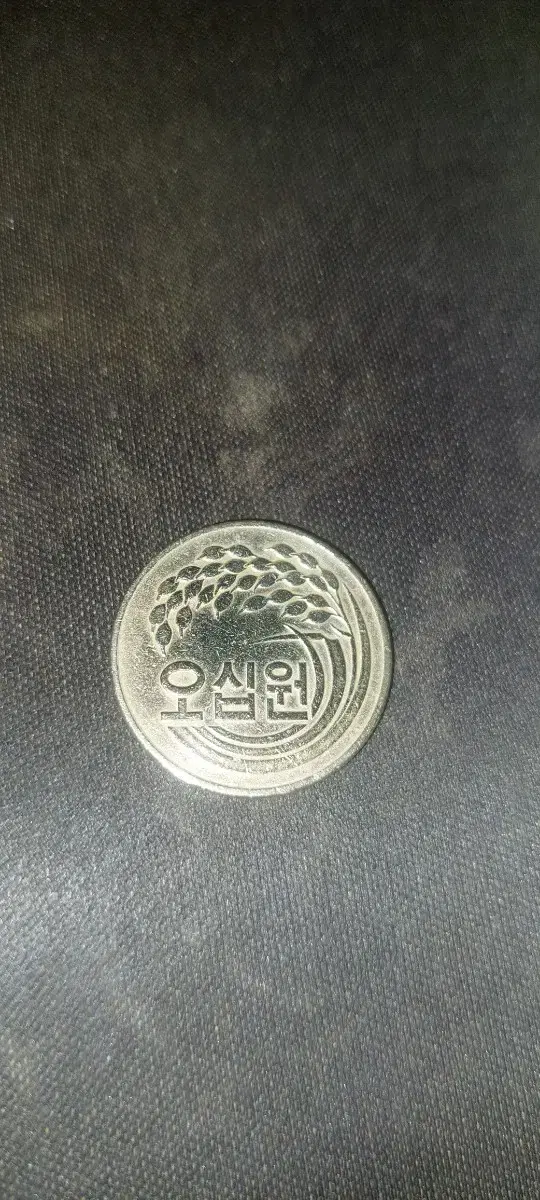 1982년 50원