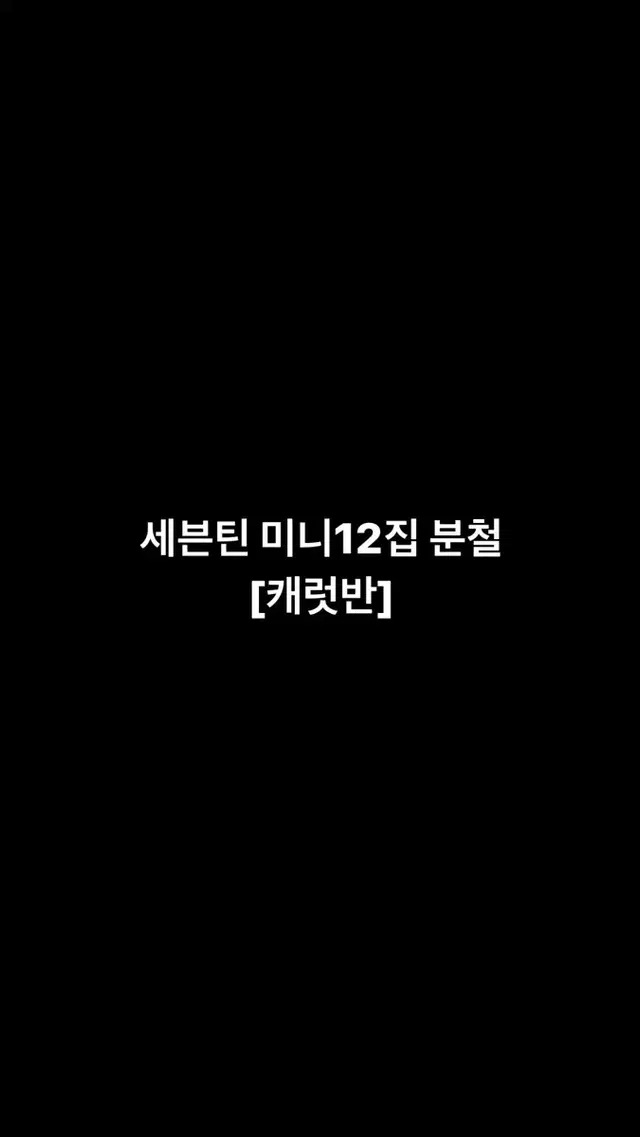 세븐틴 미니12집 캐럿반 분철