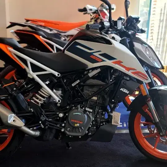 2023 KTM 듀크125