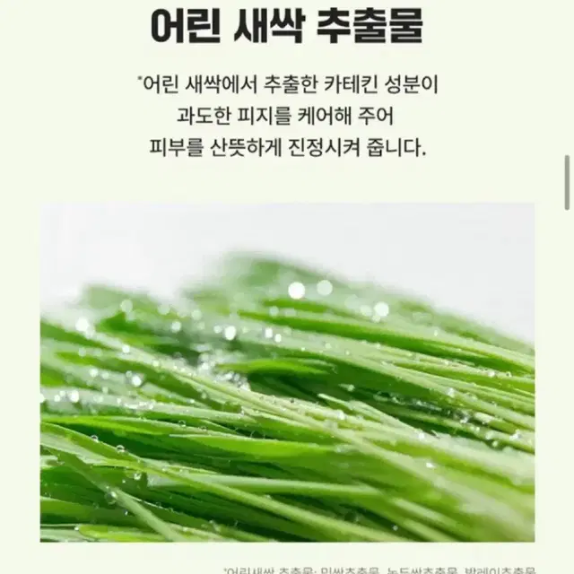 (새상품) 수이스킨 클렌징폼