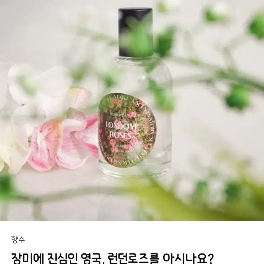 센츠텔러 런던로즈 텀블벅 향수