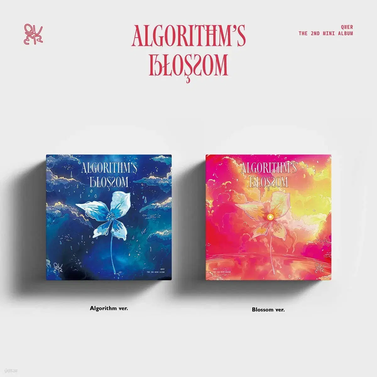 QWER Algorithms Blossom sealed album is selling