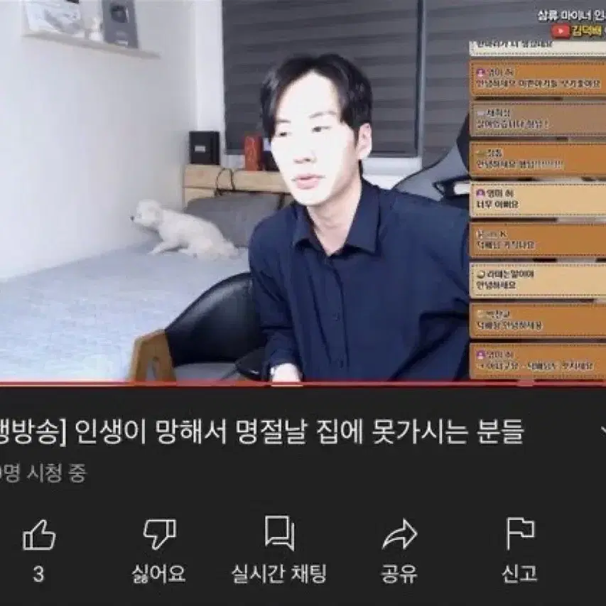 부산락페 일요일 삽니다