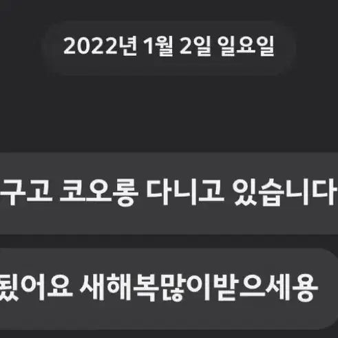 자소서 첨삭/대필!! (합격률 높음)