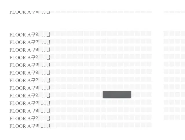 나니와단시 콘서트 VIP 플로어 A구역 양도