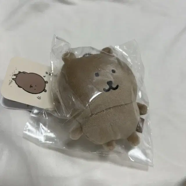 농담곰 태닝곰 탄담곰