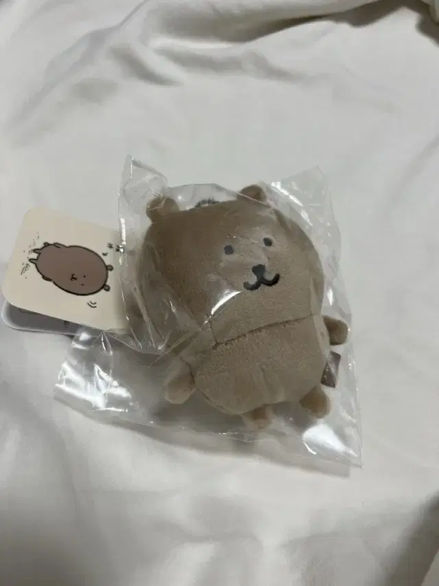 농담곰 태닝곰 탄담곰