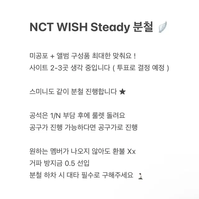 nct wish 스테디 미공포 분철