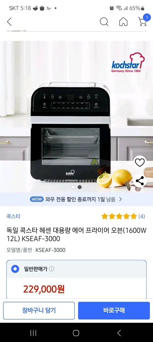 독일 콕스타 헤센 에어프라이기