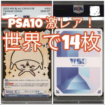 치이카와 (먼작귀) 토끼 SP 바이스 PSA10