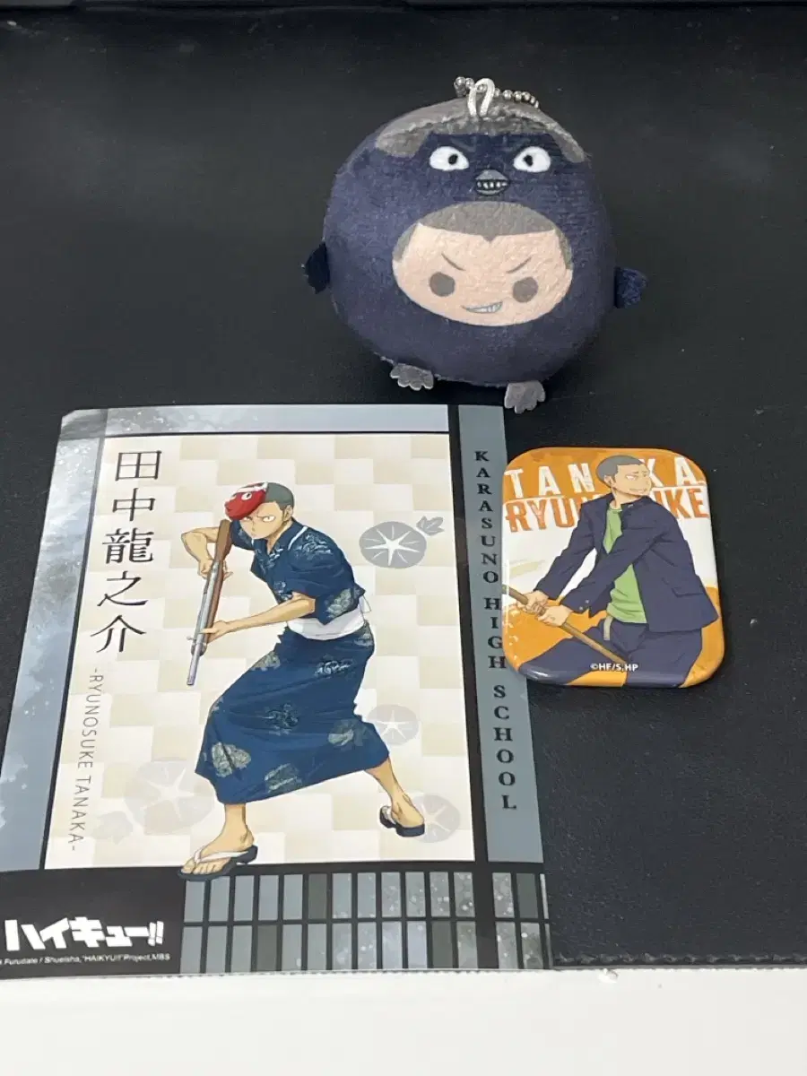 Haikyuu Goods _ Tanaka Bulk