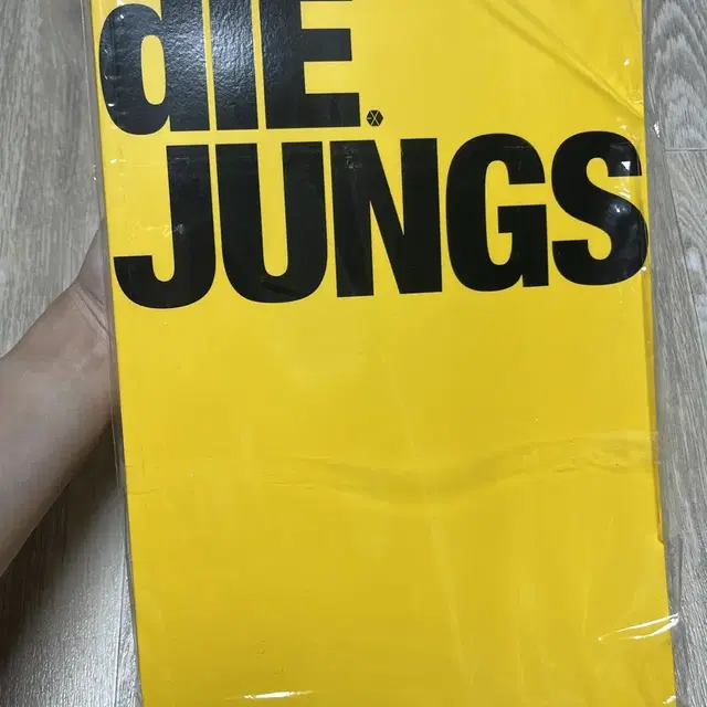 엑소 DIE JUNGS 디융스 포토북 화보잡지 (엑소케이) 택포