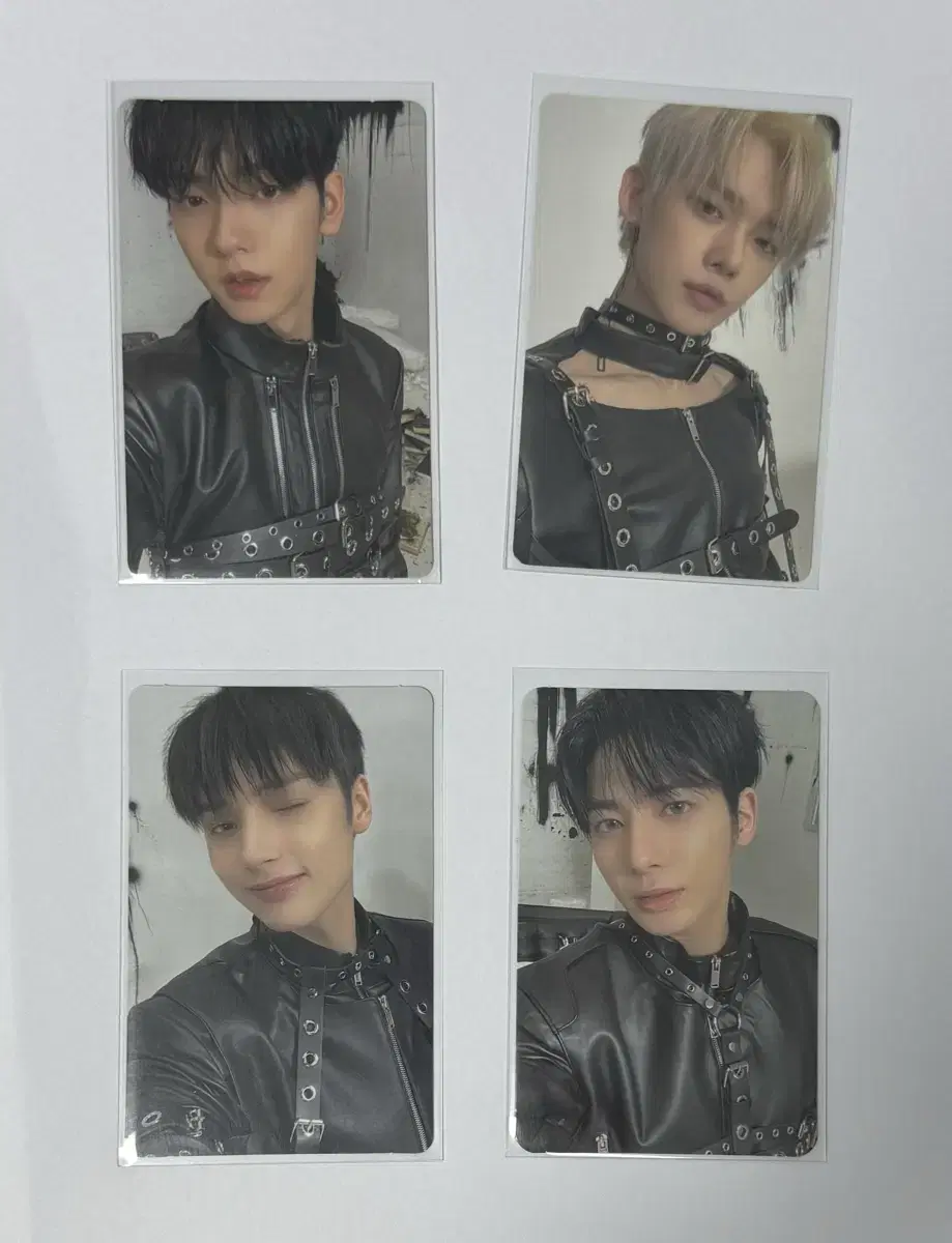 투바투 지비지비 헤이트 일괄