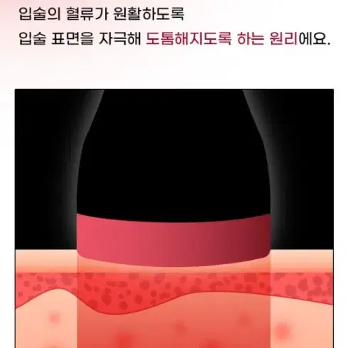 프리티프릭 체리립 플럼퍼