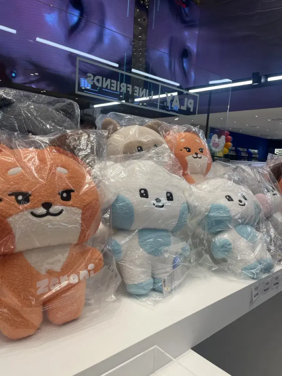 ZB1 line friends pop up Dalgoo