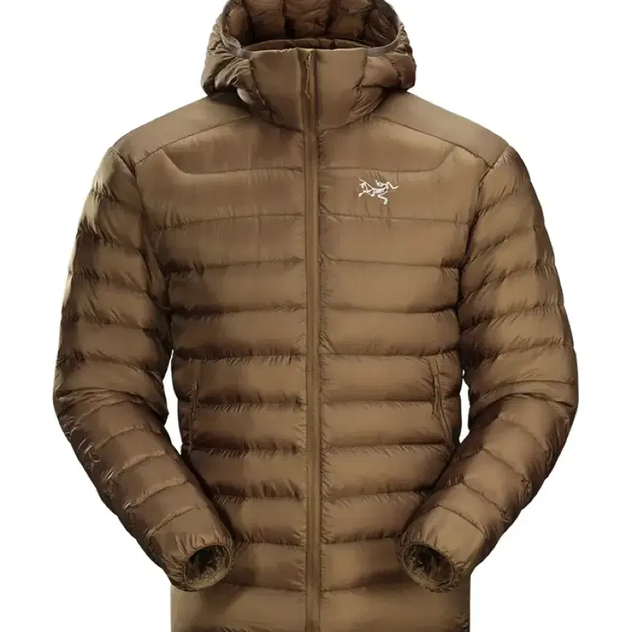 [구매] arcteryx 아크테릭스 세륨lt caribou L~XL