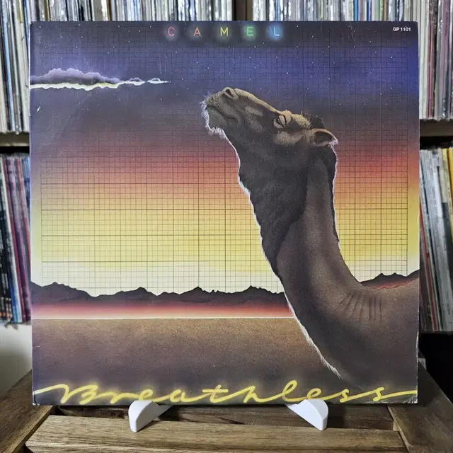 (카멜) Camel - 6집 Breathless LP