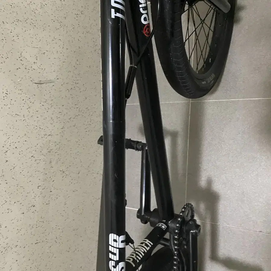 대차x 선데이 bmx