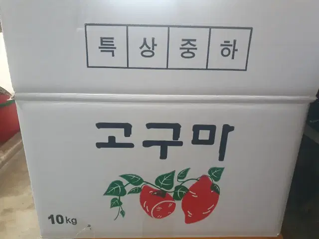 밤고구마