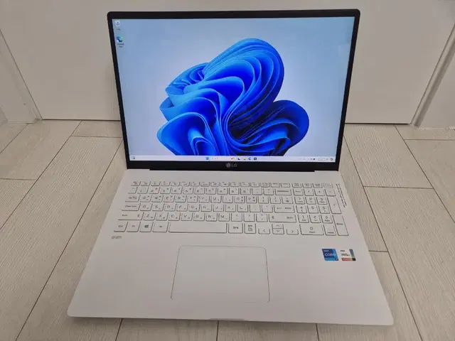 그램 17인치 i7 1165G/512GB/16GB/윈도우 11 프로