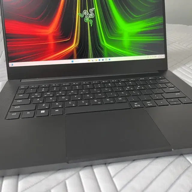 레이저 블레이드 Razer Blade 14 라이젠9 3070ti