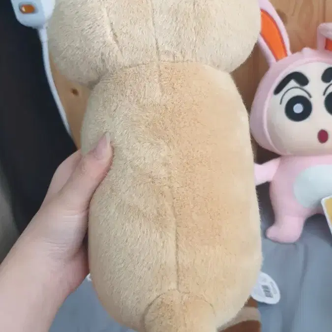 (!!원가보다 훨씬 저렴!!) 오머나 프레리독 25cm