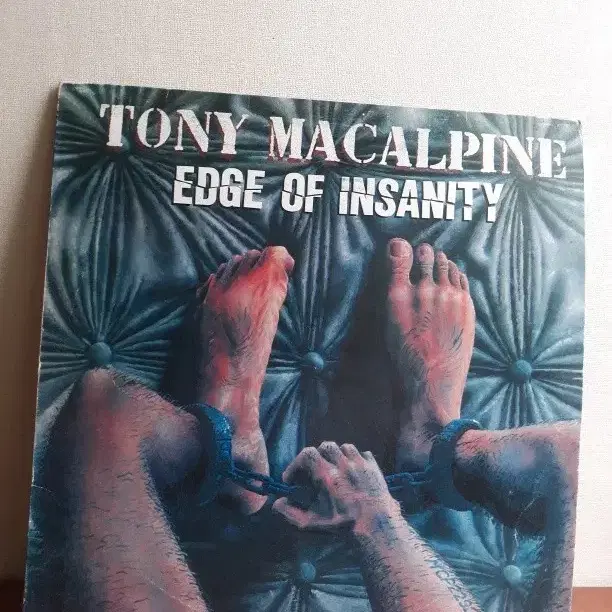 헤비메탈 기타리스트 Tony Macalpine 카피반엘피 바이닐vinyl