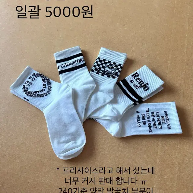 양말 5켤레